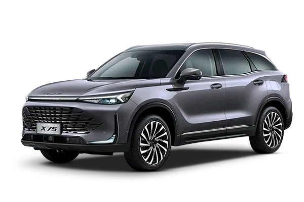 Baic X75 — Серый