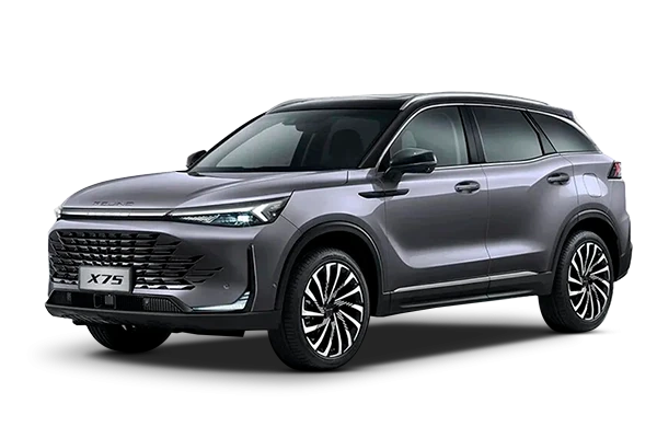 Baic X75 — Серый-черный