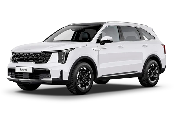 Kia Sorento IV Рестайлинг — Чистый белый